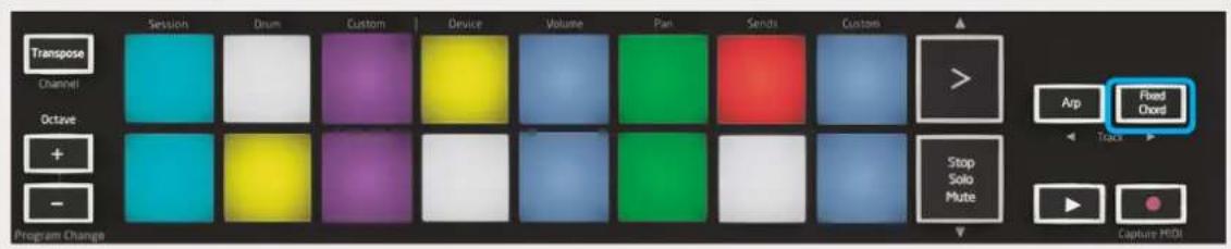 NOVATION Launchkey Mini MK3 - Accord fixe (« Fixed Chord ») - 1