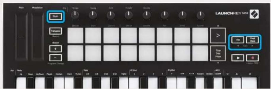 NOVATION Launchkey Mini MK3 - Mode Session - 12