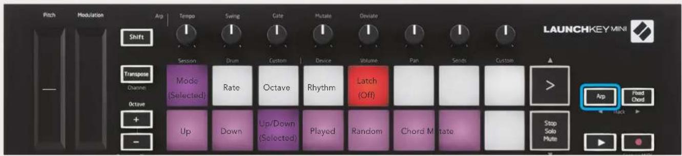 NOVATION Launchkey Mini MK3 - Les pads de l'arpégiateur - 1