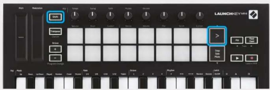 NOVATION Launchkey Mini MK3 - Mode Session - 10