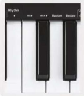NOVATION Launchkey Mini MK3 - Rythmes de l'arpégiateur (« Arp Rhythms ») - 1