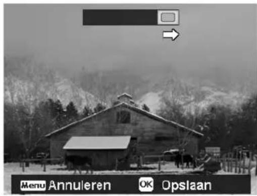 MEDION LIFE X44000 - Gebruik van de modus Panorama - 4