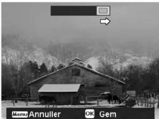 MEDION LIFE X44000 - Anvendelse af tilstanden Panorama - 4