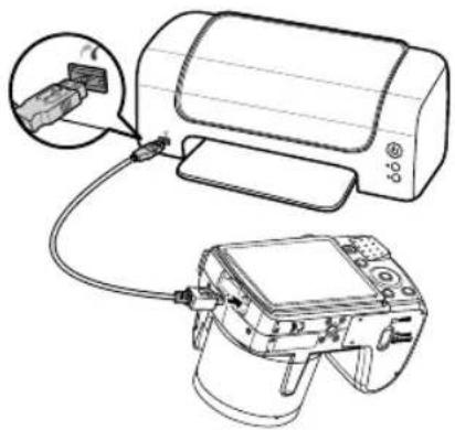 MEDION LIFE X44000 - Stampa delle riprese su una stampante fotografica - 1