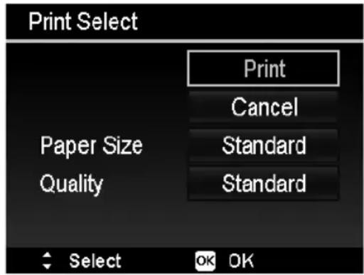 MEDION LIFE X44000 - Defining the print settings - 1