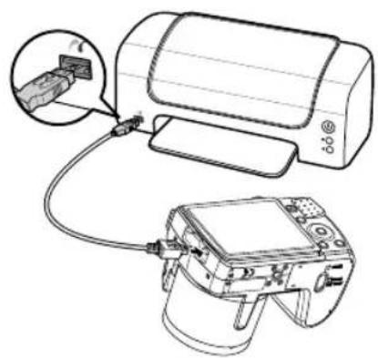 MEDION LIFE X44000 - Aufnahmen auf einem Fotodrucker ausdrucken - 1