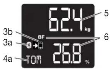 BEURER BF 720 - Écran - 1