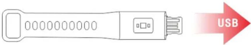 DENVER BFG551 - Charging - 1