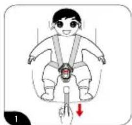 BabyGO Car Seat + Isofix - Adjust the length of harness - 1