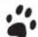 Froggy BTC05 - happypet - 1