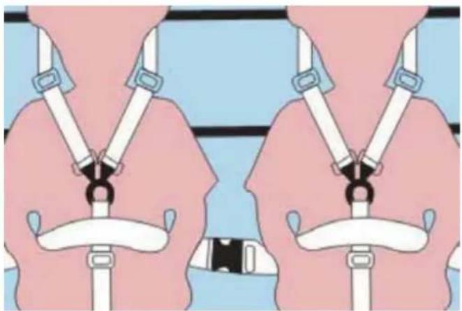 Froggy BTC05 - USING THE SAFETY BELTS - 1