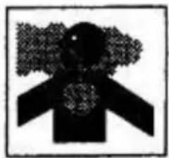 ELEM Garden Technic DCBT34D1 - ATTENTION - 2