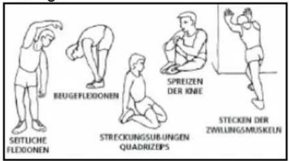 BH FITNESS G233N - Aufwärmfphase - 1
