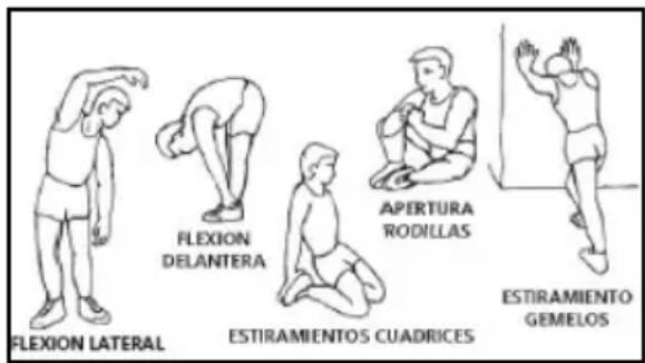 BH FITNESS G233N - La fase de calentamento - 1