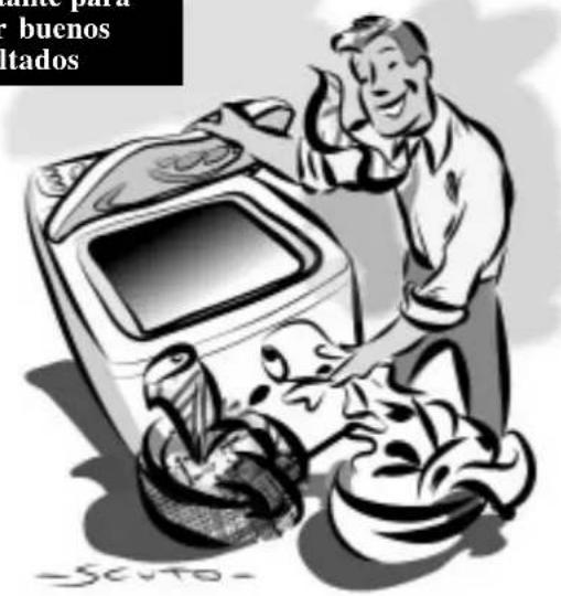 INDESIT WT 50 EX - Prendas desmanchadas con bencina. - 2