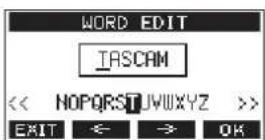 TASCAM Model 16 - Ajuste del elemento WORD - 1