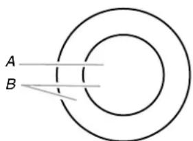 KITCHENAID KCES550HBL - Dual Element - 1