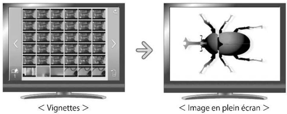 Elmo TT12F - Affichage d'une image fixe en plein écran - 1