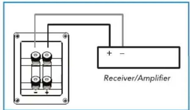 DEFINITIVE TECHNOLOGY Demand D7 - Connecting Your Loudspeakers - 5
