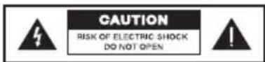 DEFINITIVE TECHNOLOGY Demand D7 - SAFETY PRECAUTIONS - 1