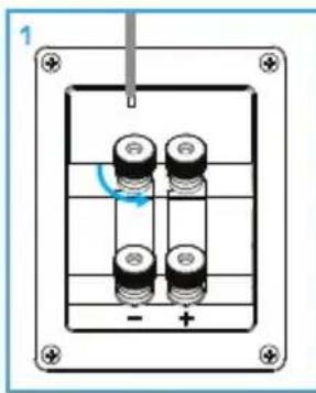 DEFINITIVE TECHNOLOGY Demand D7 - Connexion de vos haut-parleurs - 2