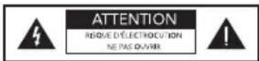 DEFINITIVE TECHNOLOGY Demand D7 - Precautions de securite - 1