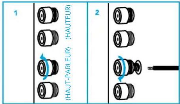 DEFINITIVE TECHNOLOGY BP9060 - Branchement de vos haut-parleurs - 3