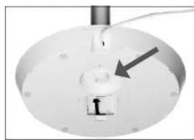 Solis Eco Silent 7584 - MONTAGGIO DELLA PIANTANA SULLA BASE - 4