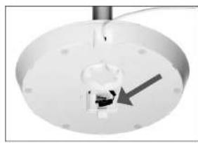 Solis Eco Silent 7584 - MONTAGE DER SÄULE   AUF DEN SOCKEL - 6