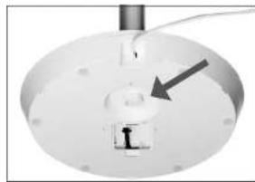 Solis Eco Silent 7584 - MOUNTING THE PILLAR TO THE PEDESTAL - 4