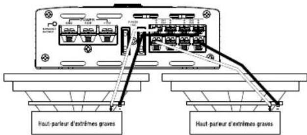 INFINITY Primus 3000A - Primus 6004a et 9004a - 3