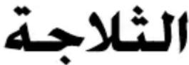 BEKO DS145010S - Buzdolabi - 1