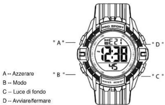 Calypso K5740 - 1