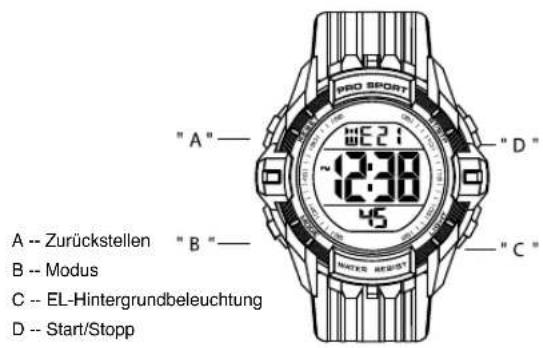 Calypso K5740 - 1