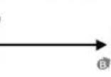 Calypso K5617 Tweens - DAS EINSTELLLEN DESC COUNTERD ZAHLERS - 5