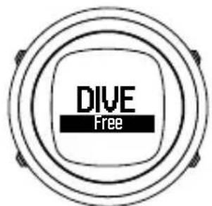 SUUNTO D4F - Activation et préverifications - 2