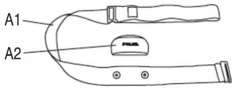 POLAR WearLink+ W.I.N.D - 1