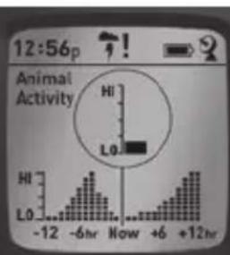 BUSHNELL BackTrack HuntTrack - ANZEIGEN DER DATENBILDSCHIRME - 3