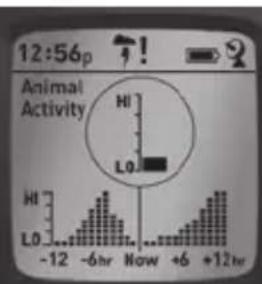 BUSHNELL BackTrack HuntTrack - VISUALIZAZAO DOS ECRAS DE DADOS - 3