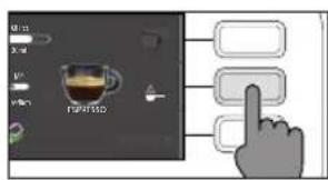 GAGGIA Cadorna Style - Cycle de rinceage manuel - 2