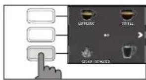 GAGGIA Cadorna Style - Come emulsionare il latte - 2