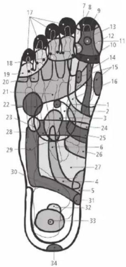 ECG MN 105 - 1