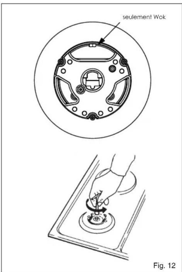 BAUMATIC BHG770SS - Adaptation à un différent type de gaz (fig 12) - 2