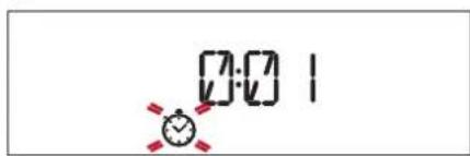 BAUKNECHT HIR4 EP8V PT - TIMER - 1
