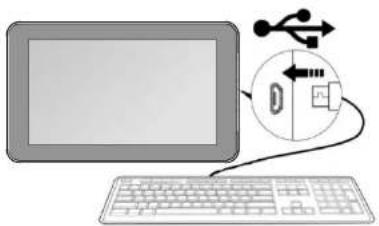 Proscan PLT9045K - ◆ Connexion d'un périphérique USB: - 1