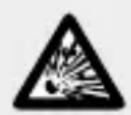 FLORABEST IAN 311538 - DANGER TO - 1