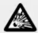 FLORABEST IAN 311538 - DANGERDE - 1