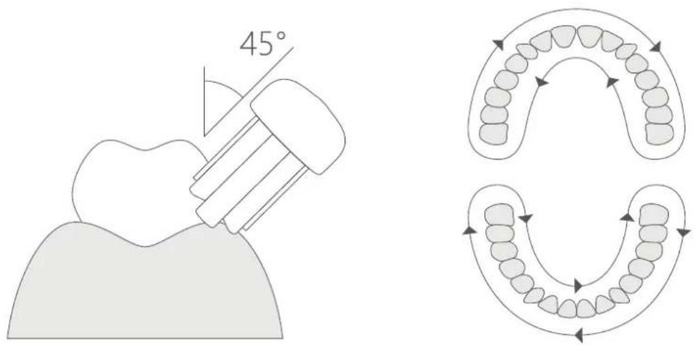 Xiaomi Mi Electric Toothbrush - e. Brossage sain - 1