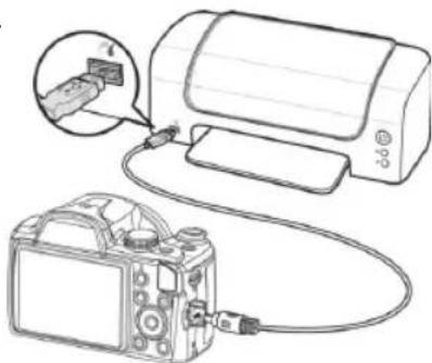 MEDION LIFE X44022 (MD 86922) - Aufnahmen auf einem Fotodrucker ausdrucken - 1