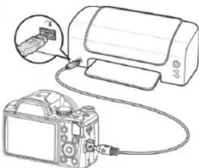 MEDION LIFE X44022 (MD 86922) - Printing shots on a photo printer - 1